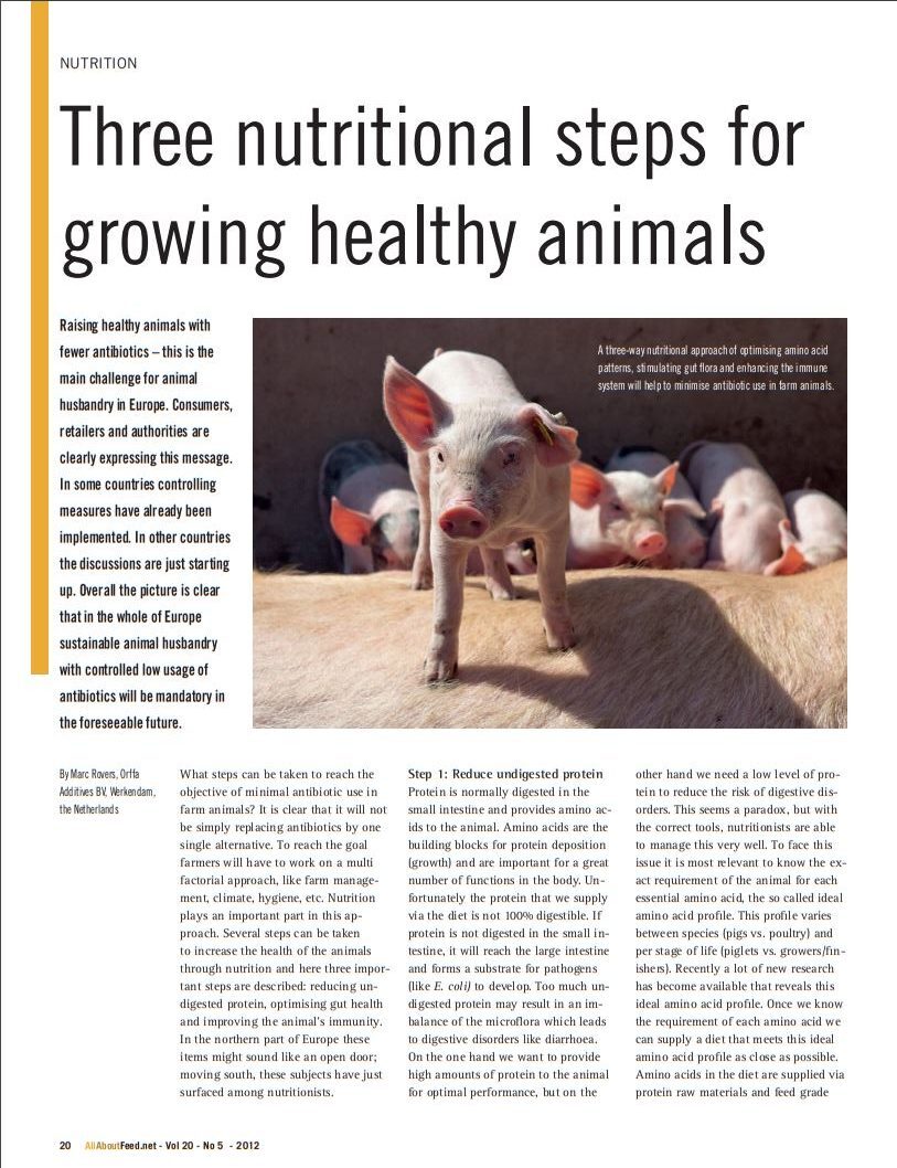 Three nutritional steps for growing healthy animals | Orffa